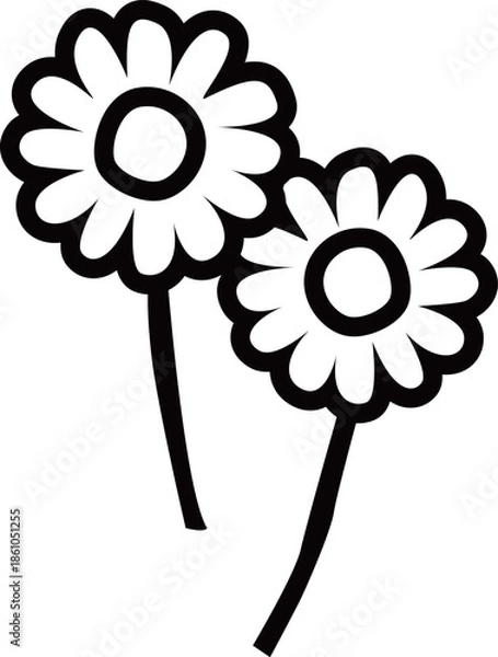 Obraz 満開のデイジーの花2本のアウトライン白黒線画イラスト カモミールやハーブ系のシンプルな花のイメージ　透明背景