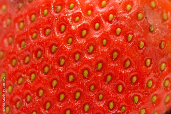 Obraz red strawberry isolated on white background