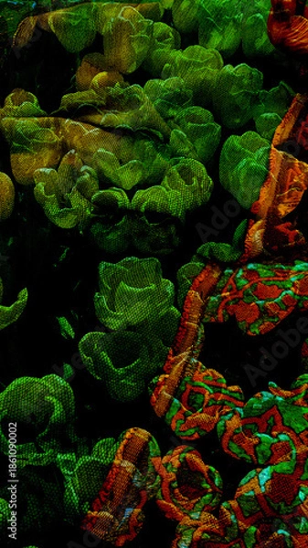 Obraz frog on the stone