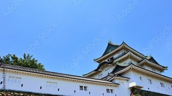 Obraz 青空と春の和歌山城天守閣