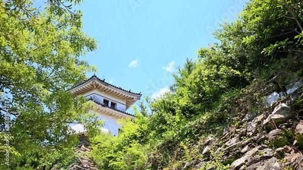 Obraz 青空と新緑に映える和歌山城の風景
