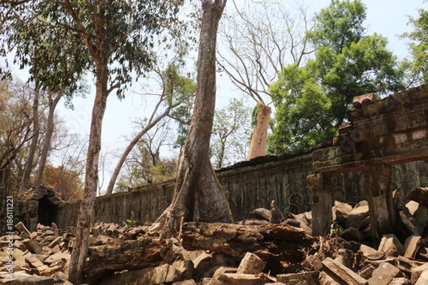 Fototapeta タプローム