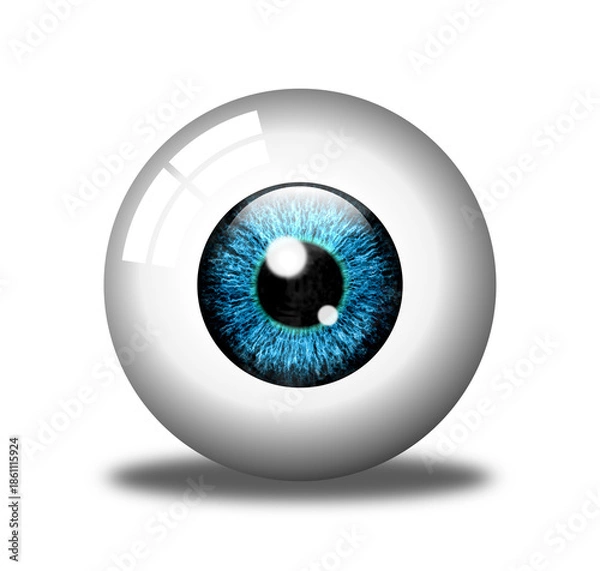 Obraz Realistic 3d human eye, isolated, white background