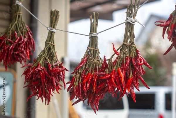 Obraz 唐辛子を干す