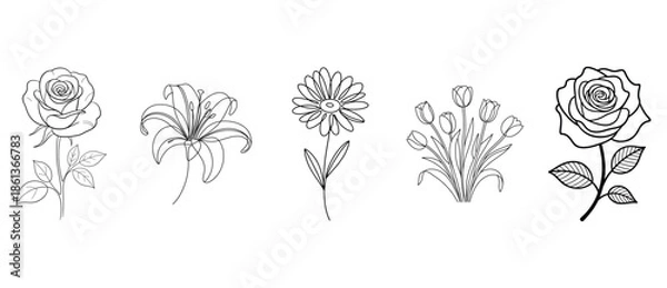 Fototapeta Five Assorted Flower Line Drawings