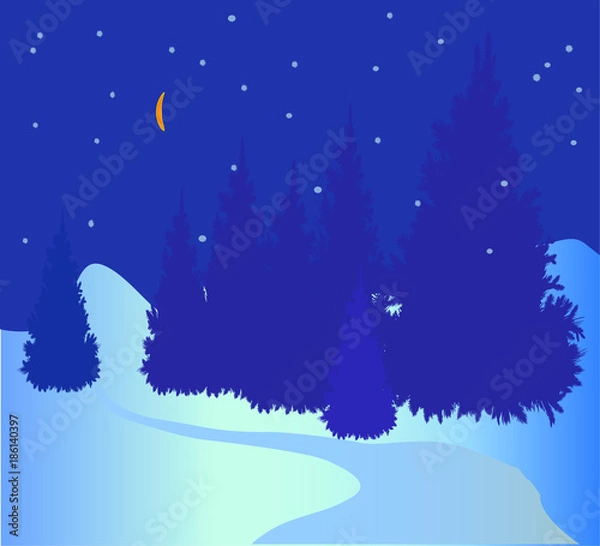 Fototapeta Winter night