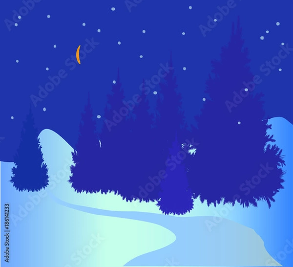 Fototapeta Winter night