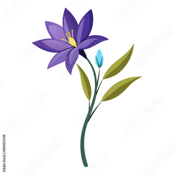 Obraz brodiaea bulb  with a branch