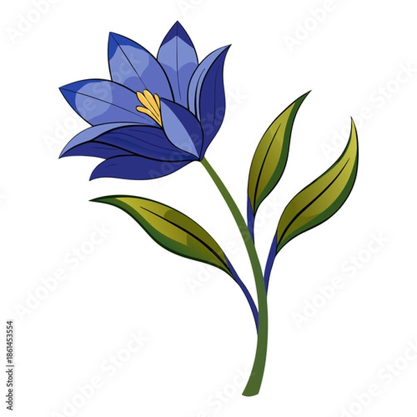 Obraz brodiaea bulb  vector on white