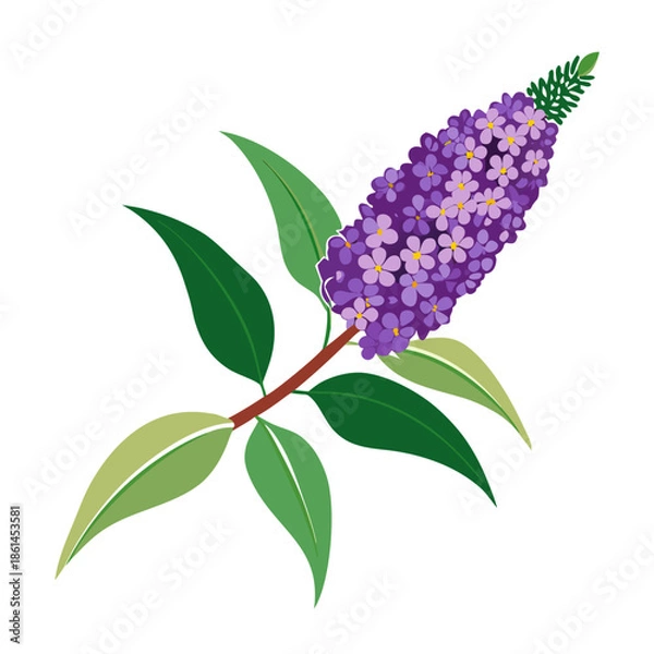 Obraz  buddleja x weyeriana flower