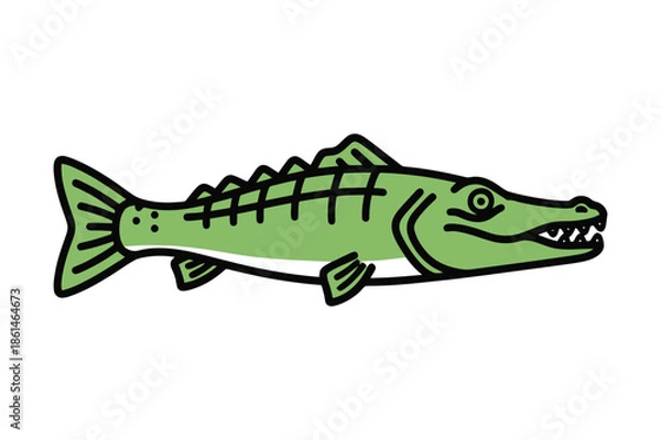 Obraz Detailed alligator gar character with sharp teeth, flat vector design
