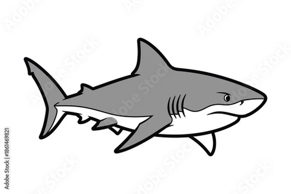 Obraz Powerful shark vector illustration isolated on white background.