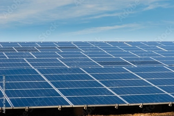 Obraz たくさん並んだ太陽光発電用のパネル