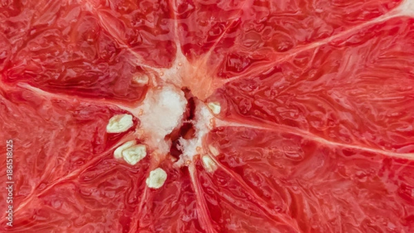 Obraz Fresh Juicy Ruby Red Grapefruit Halves