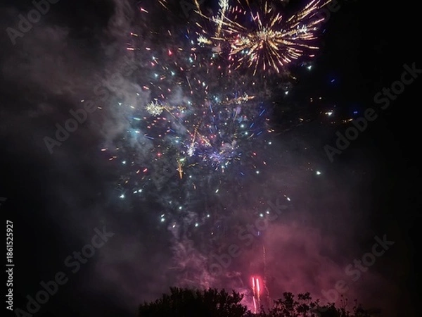 Obraz Fireworks in Darkness 11