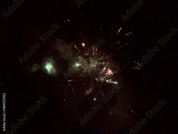 Obraz Fireworks in Darkness 9