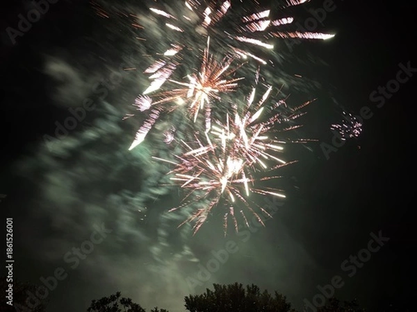 Obraz Fireworks in Darkness 4 