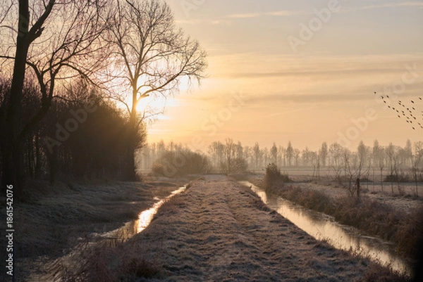 Obraz sunrise in winter