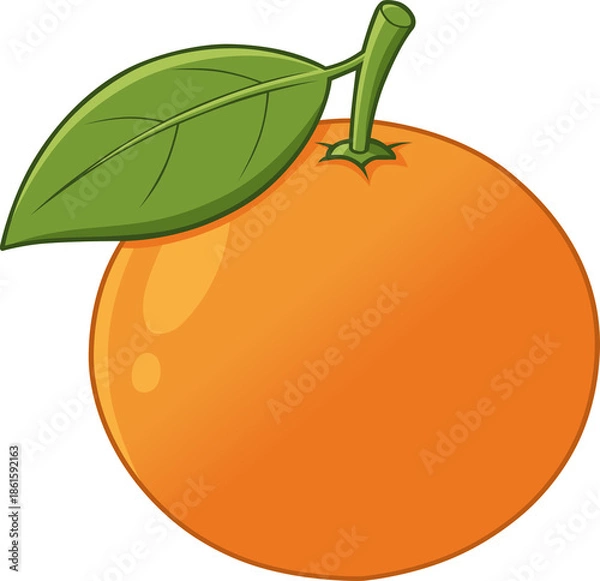 Obraz Simple Orange Fruit Vector Illustration
