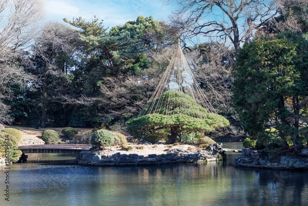 Obraz 日本庭園、冬に備えて設置された雪つり