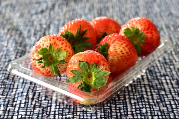 Fototapeta お皿のイチゴ