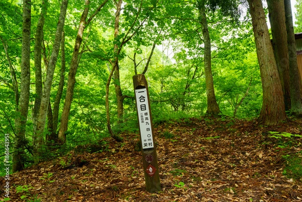 Obraz 250620苗場山小赤沢一合目