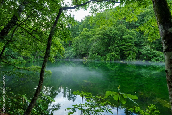 Obraz 250626龍ヶ窪