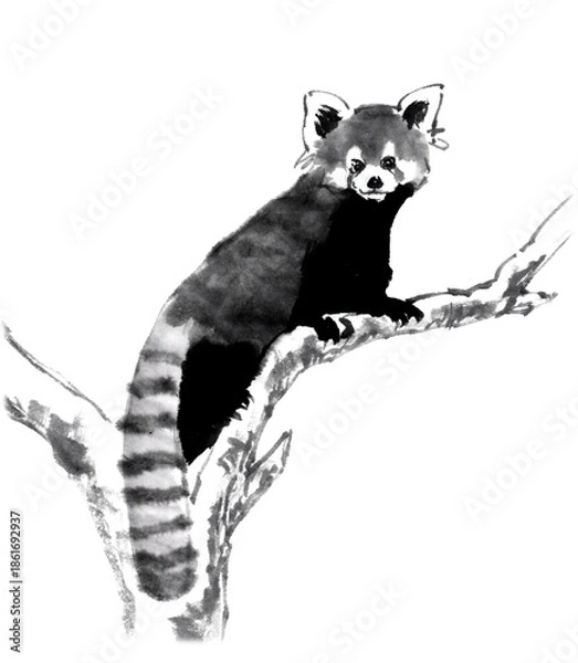 Obraz 水墨技法で描いた木の上のレッサーパンダ