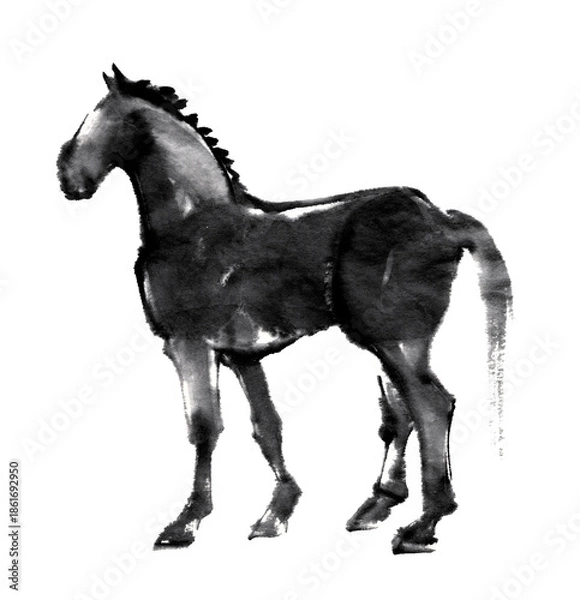 Fototapeta 水墨技法で描いた黒い馬