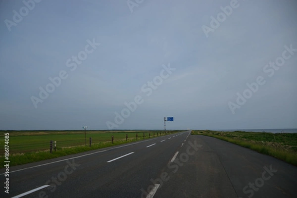 Fototapeta 大自然の道路