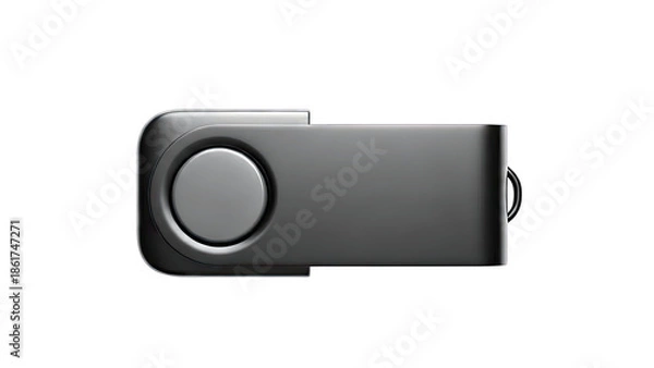 Obraz Black USB Flash Drive