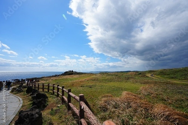 Obraz fine seaside walkway and charming clouds