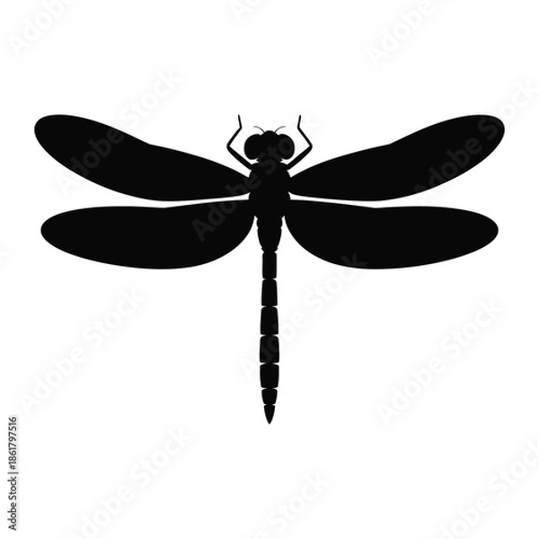 Obraz Dragonfly head close-up Vector, Silhouette, Illustration