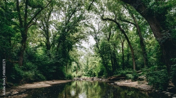 Obraz Lush green forest with a tranquil stream.