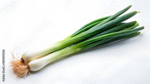 Fototapeta scallion whole with green white gradient