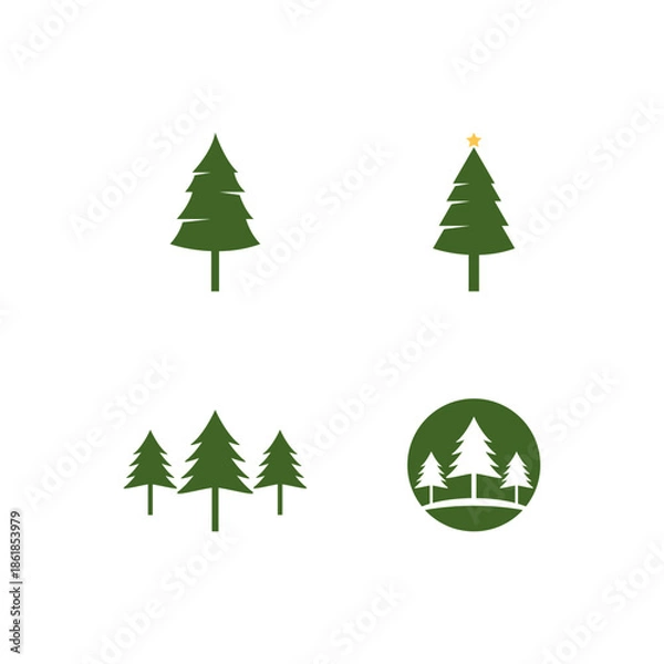 Fototapeta Forest  Pine tree