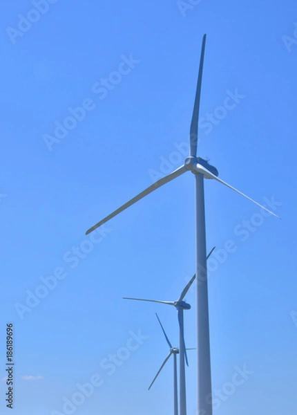 Fototapeta 風力発電の風車　青空背景 



