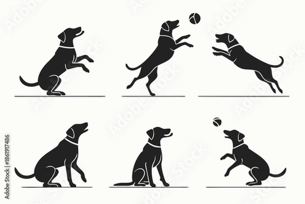 Obraz Dog playing with ball isolated on white background, Vector