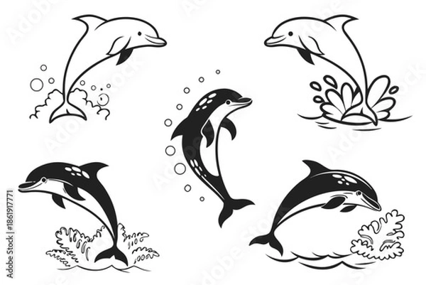 Obraz Five dolphins in playful leaps isolated on white background, Vector