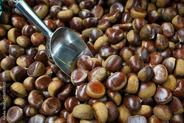 Obraz  Fresh Chestnuts Full Frame Background 