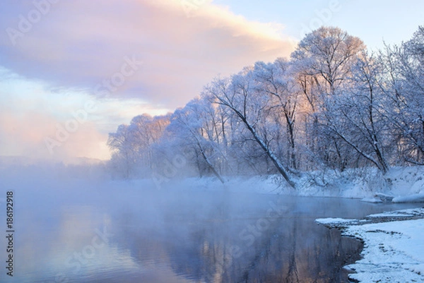 Fototapeta amazing landscape with frozen snow-covered trees in winter morning 
