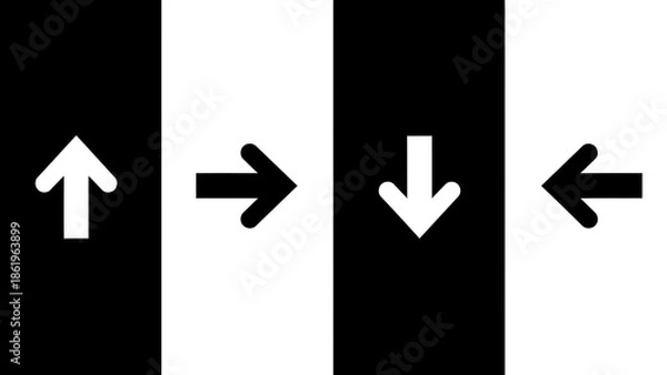 Obraz Navigating the Path