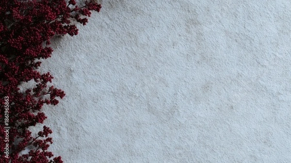 Obraz 白い背景に赤い植物の形