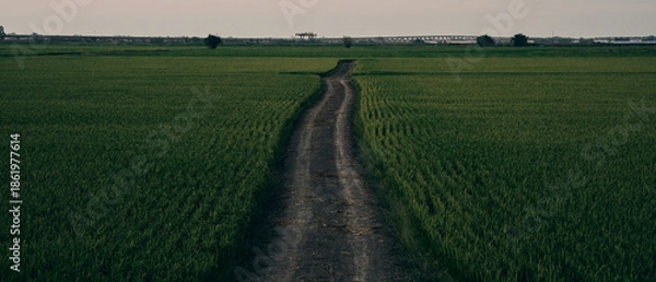 Obraz Pathway Through Verdant Fields