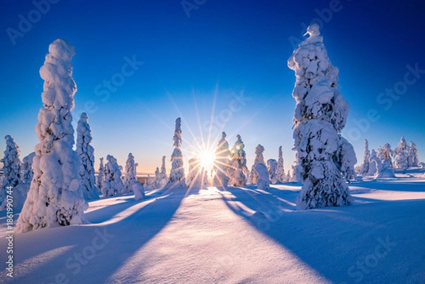 Obraz winter landscape with snow covered trees