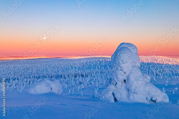 Obraz winter landscape with snow