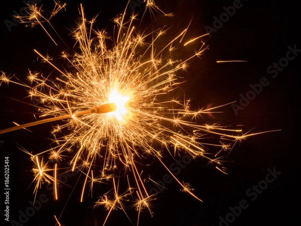 Fototapeta 花火(fireworks)