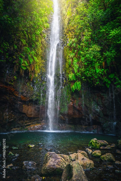 Fototapeta Famous 25 Fontes Waterfall in the green forest, Madeira Island