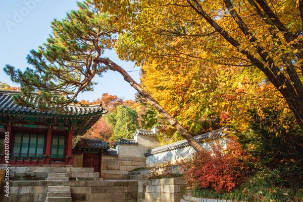 Fototapeta 창덕궁 후원