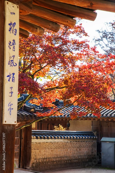 Fototapeta 창덕궁 후원